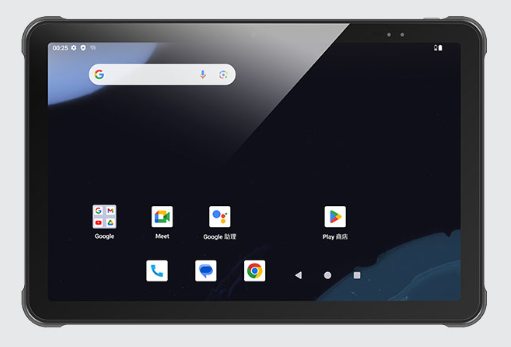 P100S-1.jpg